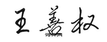 骆恒光王善权行书个性签名怎么写