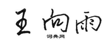 骆恒光王向雨行书个性签名怎么写