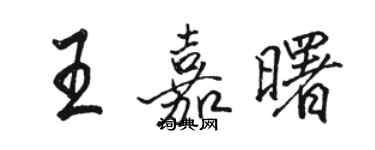 骆恒光王嘉曙行书个性签名怎么写