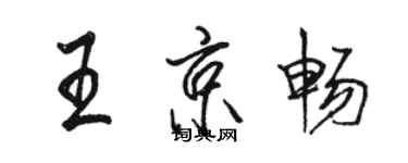 骆恒光王京畅行书个性签名怎么写