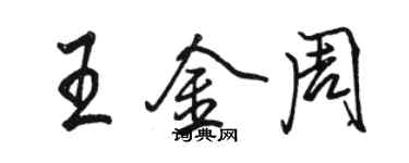 骆恒光王金周行书个性签名怎么写