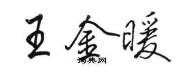 骆恒光王金暖行书个性签名怎么写