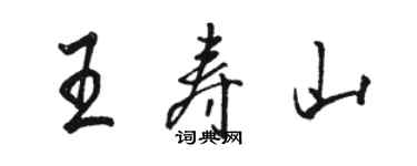 骆恒光王寿山行书个性签名怎么写