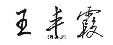 骆恒光王丰霞行书个性签名怎么写