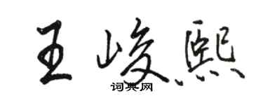 骆恒光王峻熙行书个性签名怎么写