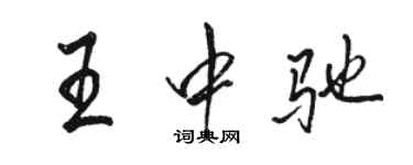 骆恒光王中驰行书个性签名怎么写