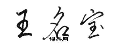 骆恒光王名宝行书个性签名怎么写