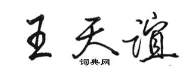 骆恒光王天谊行书个性签名怎么写