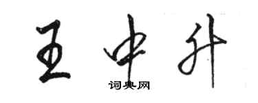 骆恒光王中升行书个性签名怎么写