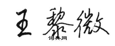 骆恒光王黎微行书个性签名怎么写