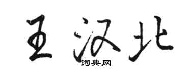 骆恒光王汉北行书个性签名怎么写