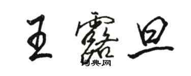 骆恒光王露旦行书个性签名怎么写