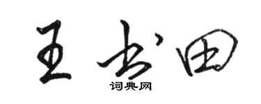 骆恒光王书田行书个性签名怎么写