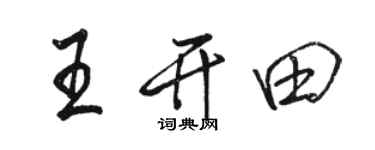 骆恒光王开田行书个性签名怎么写