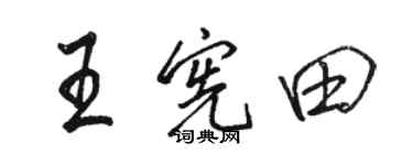 骆恒光王宪田行书个性签名怎么写