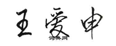 骆恒光王爱申行书个性签名怎么写