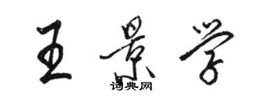 骆恒光王景学行书个性签名怎么写