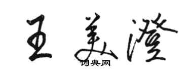 骆恒光王美澄行书个性签名怎么写