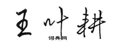 骆恒光王叶耕行书个性签名怎么写