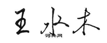骆恒光王水木行书个性签名怎么写