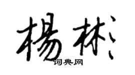 王正良杨彬行书个性签名怎么写