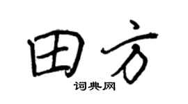 王正良田方行书个性签名怎么写