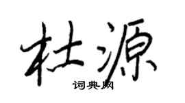 王正良杜源行书个性签名怎么写