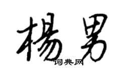 王正良杨男行书个性签名怎么写