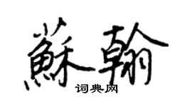 王正良苏翰行书个性签名怎么写