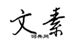 王正良文素行书个性签名怎么写