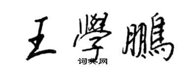 王正良王学鹏行书个性签名怎么写