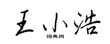 王正良王小浩行书个性签名怎么写