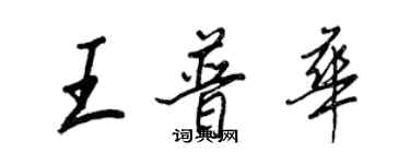 王正良王普华行书个性签名怎么写