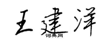 王正良王建洋行书个性签名怎么写