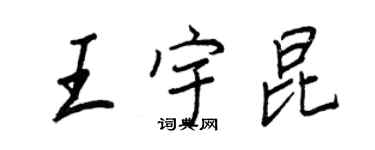 王正良王宇昆行书个性签名怎么写