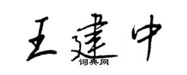 王正良王建中行书个性签名怎么写