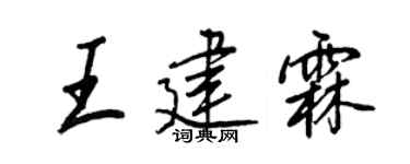 王正良王建霖行书个性签名怎么写