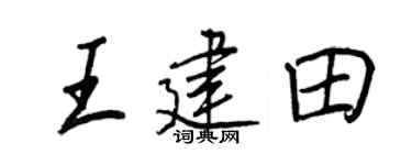 王正良王建田行书个性签名怎么写