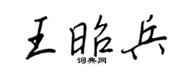 王正良王昭兵行书个性签名怎么写