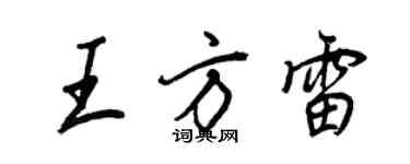 王正良王方雷行书个性签名怎么写