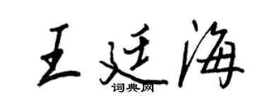 王正良王廷海行书个性签名怎么写