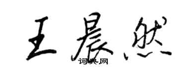 王正良王晨然行书个性签名怎么写