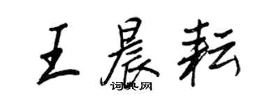 王正良王晨耘行书个性签名怎么写