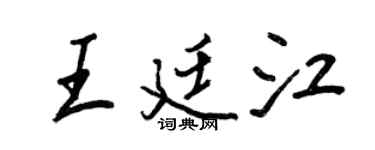王正良王廷江行书个性签名怎么写