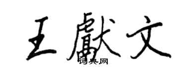 王正良王献文行书个性签名怎么写