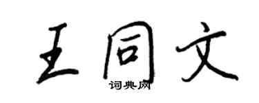 王正良王同文行书个性签名怎么写