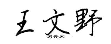 王正良王文野行书个性签名怎么写