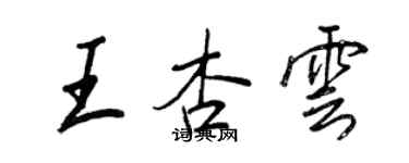 王正良王杏云行书个性签名怎么写