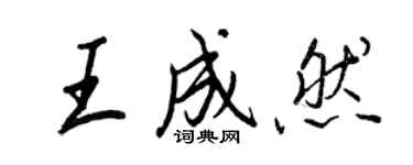 王正良王成然行书个性签名怎么写