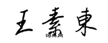 王正良王素东行书个性签名怎么写